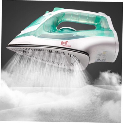 electric compact iron steam soleplate clothes steamer 电熨斗