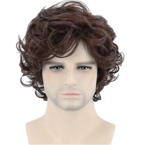 Mens Wig Brown Short Curly Hair Fluffy Natural Curl Mens H