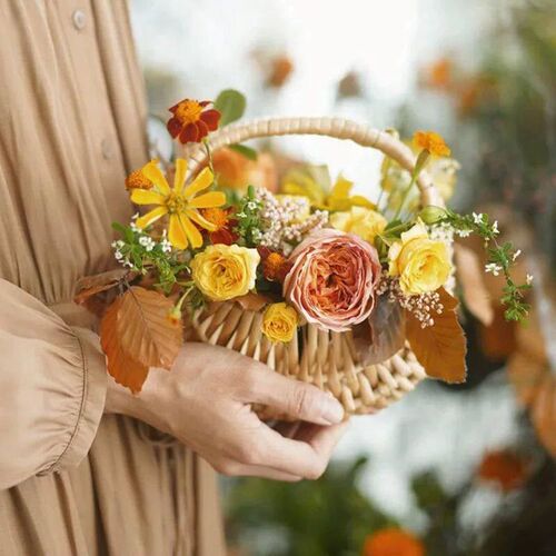 Small Flower Basket Willow Rattan Woven Basket Wicker Half M