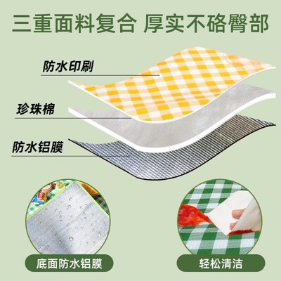 Thickened camping lawn outdoor waterproof park picnic mat