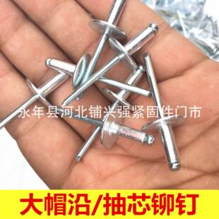 现货大帽铆钉大帽沿抽铆970芯钉大头拉铆钉拉拉钉物美柳价廉