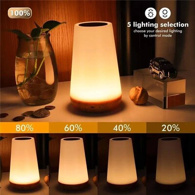 Table Lamp Bedside Lamp For Bedroom 13 Color Changing Touch