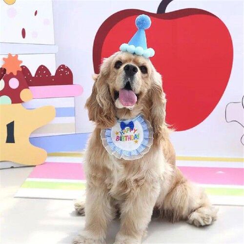 Pet Bandana for Playing Pet Bandana Adjustable Strap Pet
