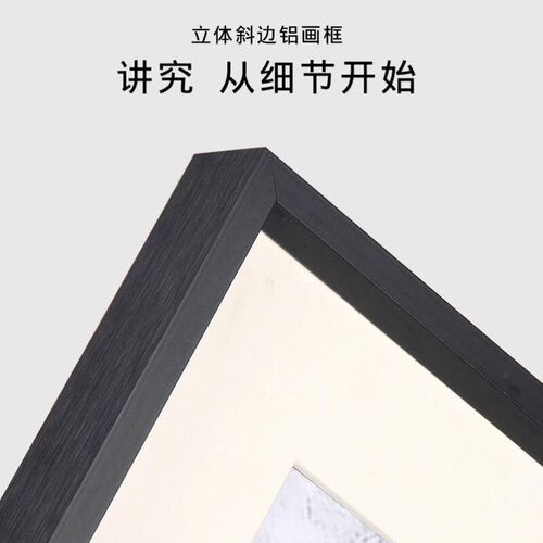 Photo Frame Picture Poster Frames Alloy Wall Decor Hanging