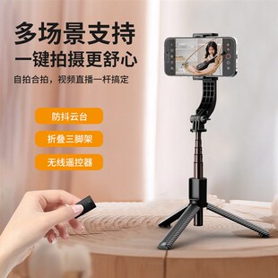 C06h Silizer Pole Panoramic Follow Shot Anti-shake Pole Hand