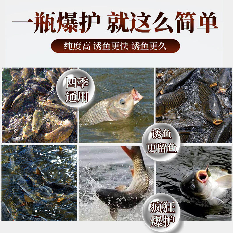 钓鱼小药野钓黑坑一瓶搞定鲫鱼鲤鱼草鱼专用开口剂通杀诱鱼剂大全,户外/登山/野营/旅行用品,台钓饵,淘宝优惠券,粉丝福利购,淘宝优惠卷