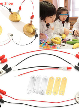 Biologia Energy Generate Electricity Science Experiment Educ