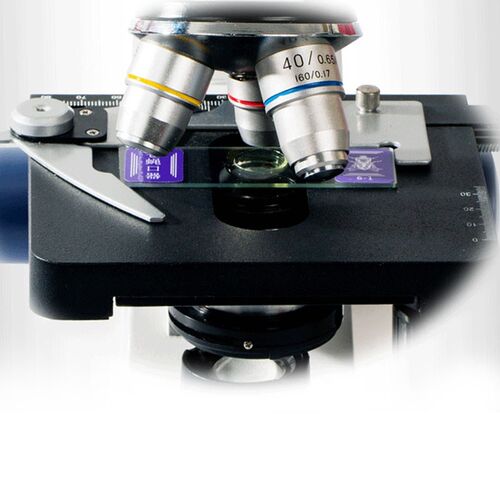 Professional 2000X Digital Compound Biological Microscope Sp