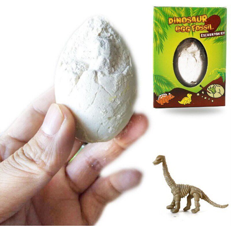1pcs vitae Dinosaur Excavation Kit Archaeology Dig Up Fossil - 实物图