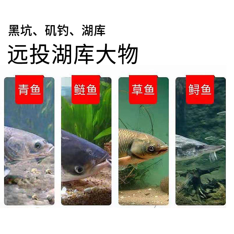 咬钩变色芦苇大物日夜两用高灵敏鱼漂醒目夜光漂鲢鳙青鱼专用浮漂,户外/登山/野营/旅行用品,浮漂,淘宝优惠券,粉丝福利购,淘宝优惠卷