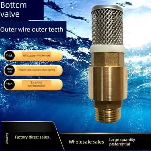 黄铜底阀井底止回阀外丝逆止阀全铜单向阀不锈钢过滤网4分6分1寸