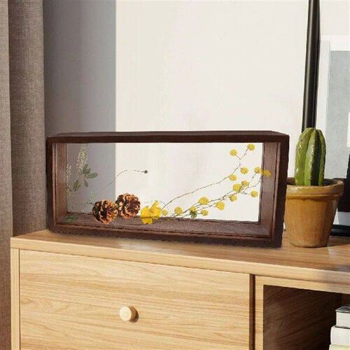 Picture Frame Specimen Shadow Boxes Dried Flower Display