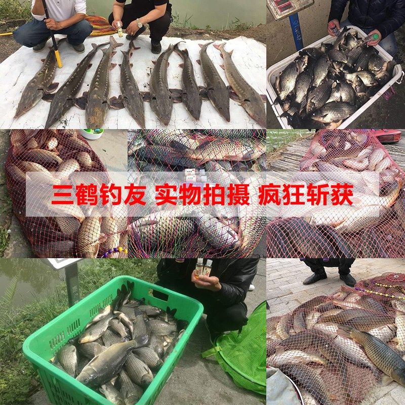 三鹤高纯虾拉慢糗鱼饵秋冬季黑坑野钓竞技钓鲫鱼纯虾饵料米饭饵水,户外/登山/野营/旅行用品,台钓饵,淘宝优惠券,粉丝福利购,淘宝优惠卷