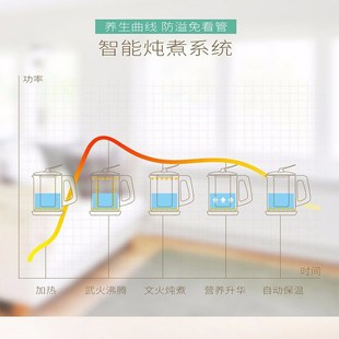 龙邦全自动高鹏玻璃陶瓷养生壶炖燕窝多功能煮花茶燕窝熬药带保温