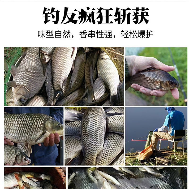 过江风饵料钓鲤鱼专用浓腥饵料黑坑野钓江河钓鱼四季通用打窝鱼饵,户外/登山/野营/旅行用品,台钓饵,淘宝优惠券,粉丝福利购,淘宝优惠卷