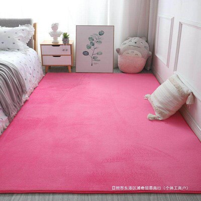 Fluffy Area Rugs for Bedroom Shaggy Floor Mat Carpet 地毯垫