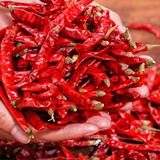 优质干货批发 特产新辣椒 500g  到手12.9元包邮