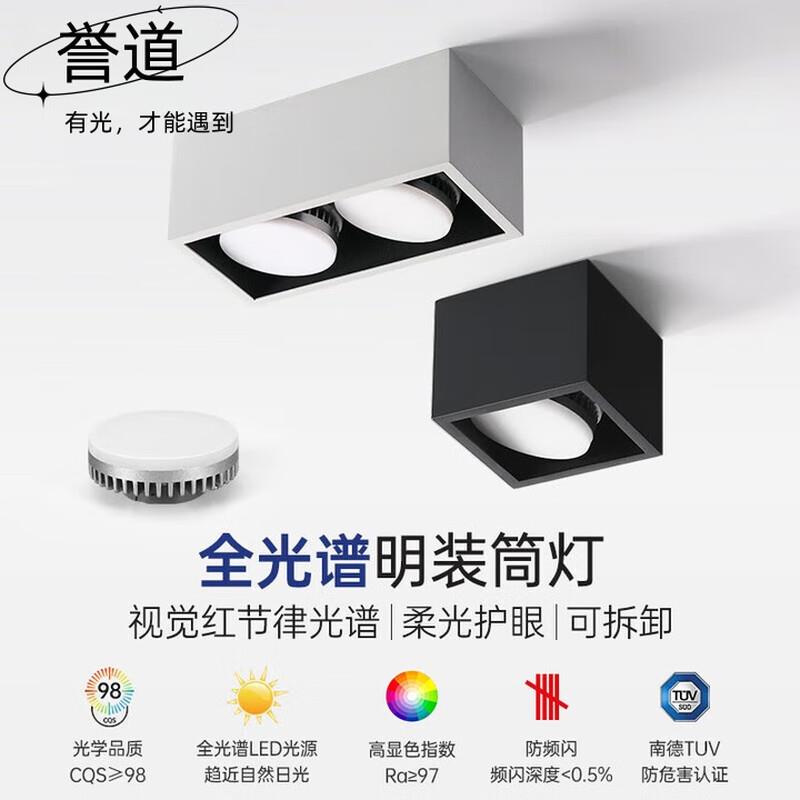 誉道双头筒灯led三色客厅明装天花灯可调光变色长方形斗胆灯格栅