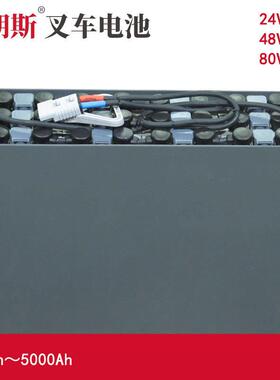 BT托盘搬运车LT-2200用蓄电池组3PZS210 24V BT装卸叉车电池210Ah