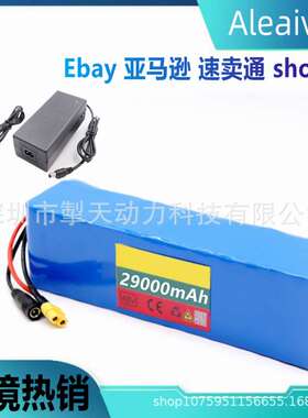电动自行车电池 48v 29Ah 18650 锂离子电池组 13串3并+充电器