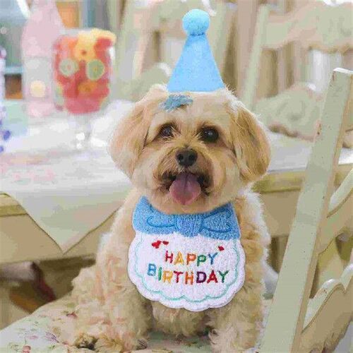 Happy Birthday Decorations Pet Bib Set Dog Outfit Ornament