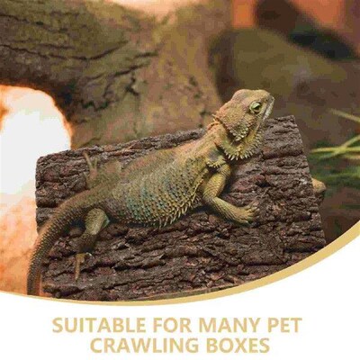 Pet Decorative Board Cork Terrarium Background Animals Bark