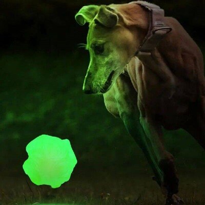 Interactive Dog Ball Dog Glowing Bouncing Interactive