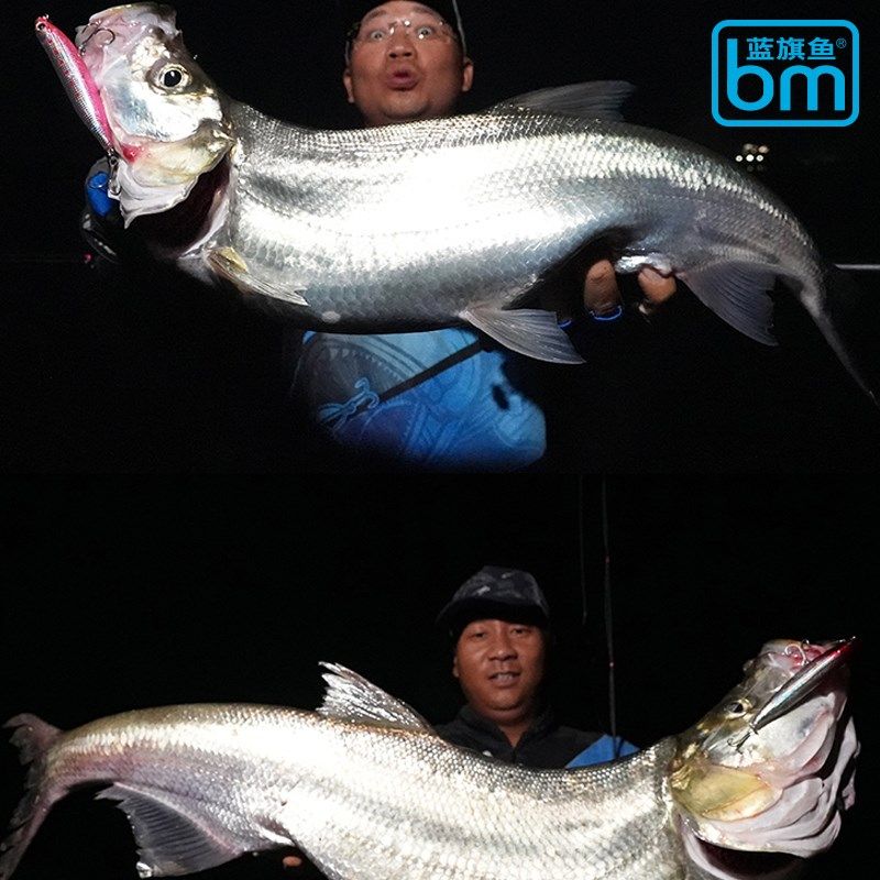 22新款蓝旗鱼诡道浮水铅笔超投翻肚鱼水面系翘嘴路亚饵假饵之子狗,户外/登山/野营/旅行用品,路亚饵,淘宝优惠券,粉丝福利购,淘宝优惠卷