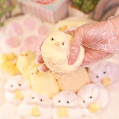 Chick Taba Squishy Toys Ultra Soft Squeeze Fidget rua泥感鸡