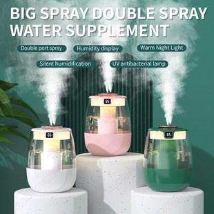 Double Air Outlets Spray Humidifier Type-C Silent Portablle