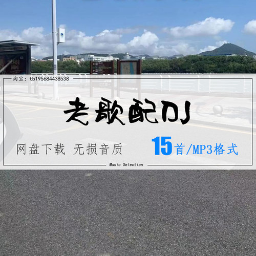 老歌配DJ新唱经典永不过时 车载mp3歌曲精选高品质音乐无损音源
