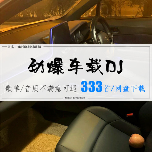 劲爆车载DJ动感嗨曲一脚踩飞油盖箱MP3车载音乐网盘歌曲无损音源