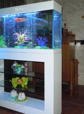 包邮长方形大型屏风生态鱼缸水族箱中型超白玻璃底部过滤1米批发