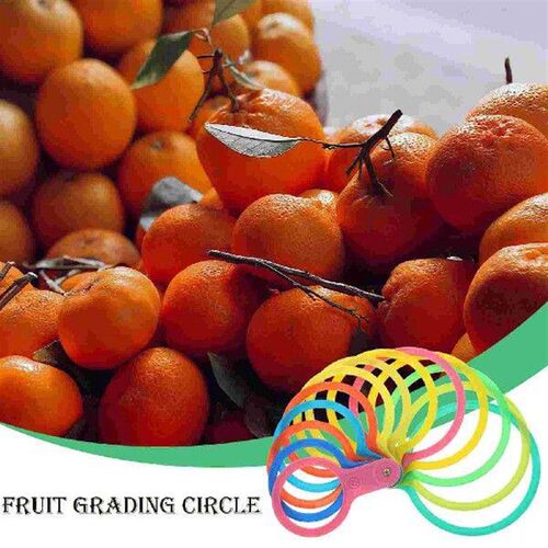 Grading Board Fruit Grader Fruits Circle Plastic Circles