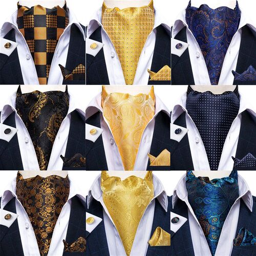 Luxury Mens Vintage Paisley Floral Formal Cravat Ascot Tie