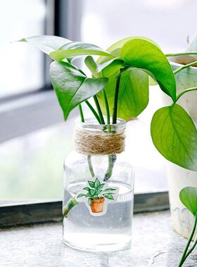 45 Ps/pak Green Potted Plant Deorative Washi ers Srapbooking