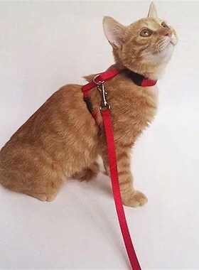 Dog Cat Collar Harness Leash Adjustable Nylon Pet Traction