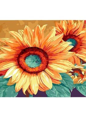 DIY Digital Oil Painting Hand-painted Filling Oil Painting S
