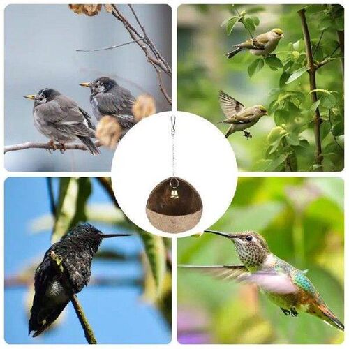 Bird House For Cage Natural Bird Nest House Hut Cage