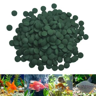 100pcs Spirulina Tablets Enrichment Favorite Pet Food fish c