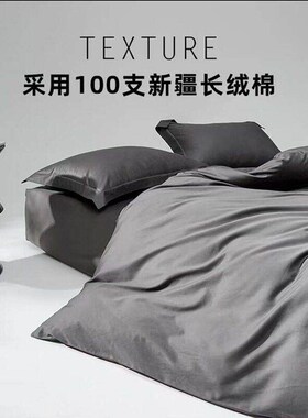 Scandinavian Simple Style 100S Long-Staple Cotton Satin