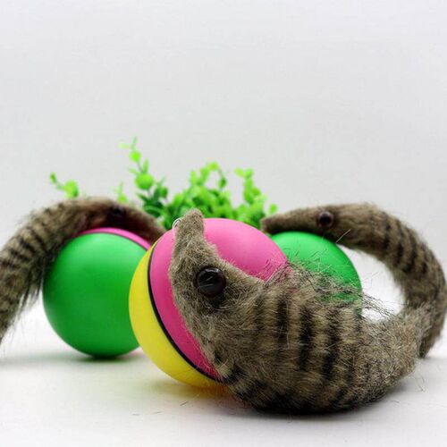 -1pcs cat toys beaver weasel rolln motor ball toy for pet