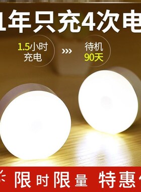 PIR Motion Sensor LED Night Light USB Rechargeable Lamp