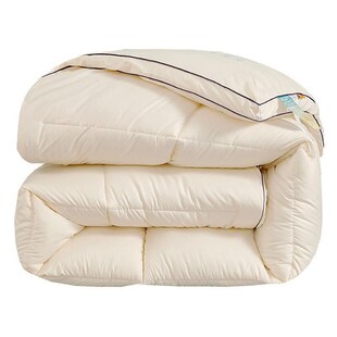 thick quilt autumn 被子被芯 duvet blanket comforter summer