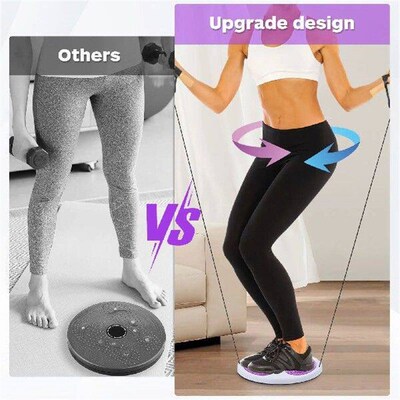 Twist Disc Low Impact Compact Waist Muscle Massage Workout