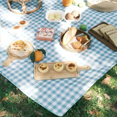 Outdoor Thicken Pad Blanket Camping Beach Plaid Picnic Mat