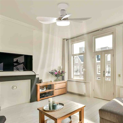 LED 40W Socket Ceiling Fan with Light, 20.5in Screw Ceiling