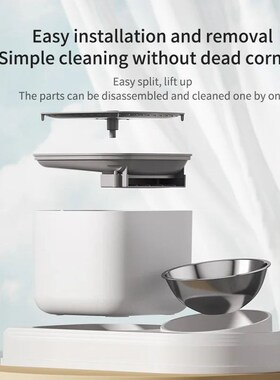 2in1 Cat Water Fountain Automatic Cats Drinker and Feeding B