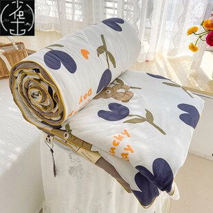 Blanket 夏被 Sofe Duvet Quilt Summer Condition Comforter Air