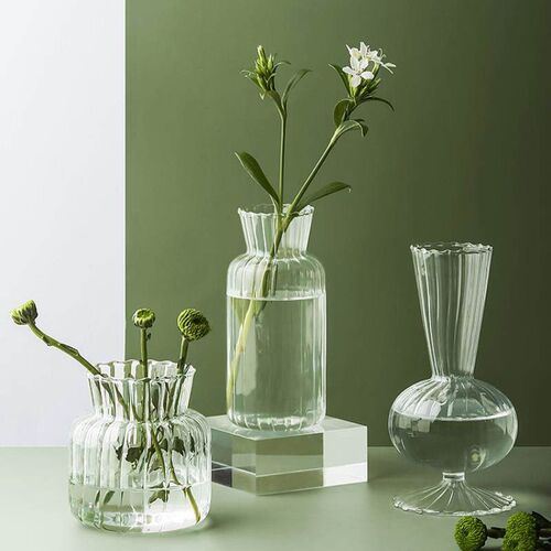Transparent Glass Vase Home Plants Hydroponic Vase Nordic In